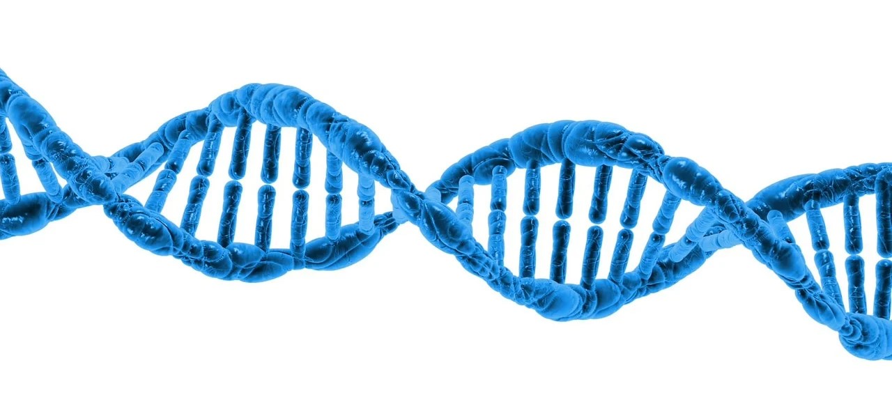 bio